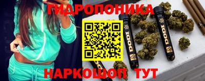 ешки Ставрополь