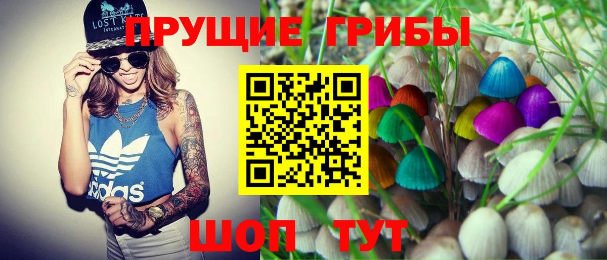 Псилоцибиновые грибы прущие грибы Изобильный