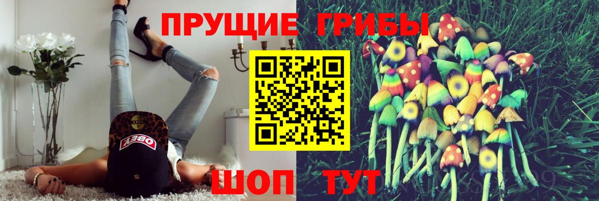 Изобильный  Псилоцибиновые грибы GOLDEN TEACHER  Вход с VPN 